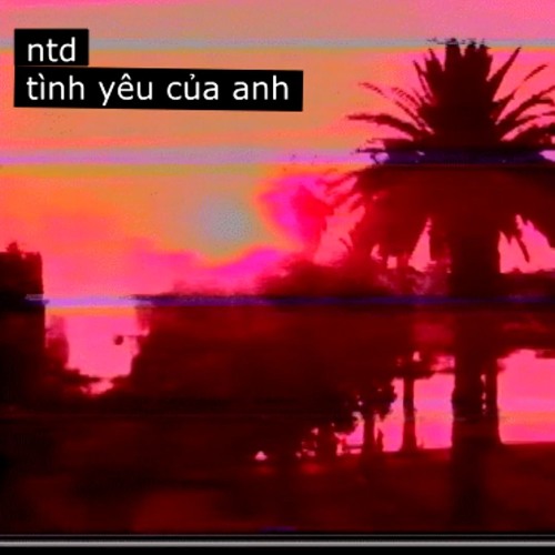 tình yêu của anh