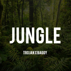 Jungle - Trojan x Baggy