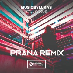 MusicbyLUKAS - Still In Love (Meauxarro Remix)