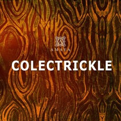 COLETRICKLE - DEC7