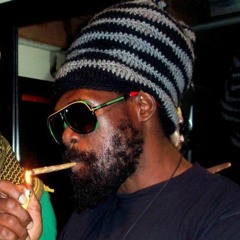 Subzulu meets Luv Fyah - Natural Herbs dub plate