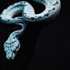 the fall of jericho (a mix by ŦĦ€ ǤΔΜ€Ş Ŵ€ ƤŁΔ¥)