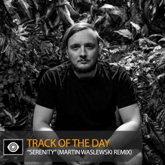 Track of the Day: Fat Sushi “Serenity” (Martin Waslewski Remix)