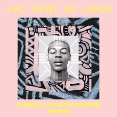 Turning It Up For The Sunshine (Friend Within Remix)