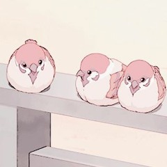 Feathered friends