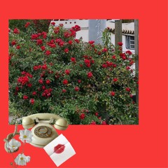 my phøne (Prod. BAESIDE)