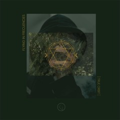 FLYING IN FRECUENCIES  ]] *TRUE ORBIT* [[