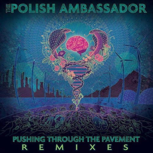The Polish Ambassador - Prayer For Rain Ft Ryan Herr & Lizzy Plotkin (Antandra Remix)