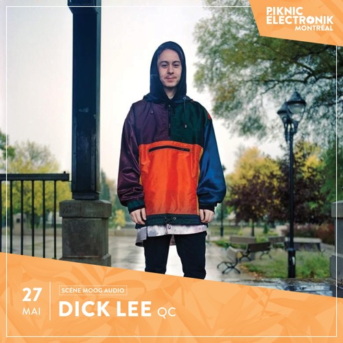 Piknic Électronik . m i x