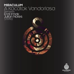 Miraculum - A Kacatok Vandorlasa (Erdi Irmak Remix) snippet