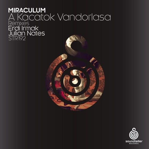 Miraculum - A Kacatok Vandorlasa (Erdi Irmak Remix) snippet