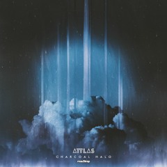 [MAU50214] ATTLAS - Owls