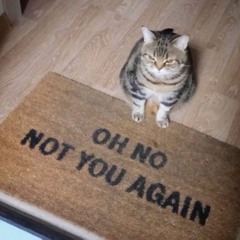 Sean's Theme (remix)