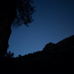 Night Crickets in Noto Valley, Sicily