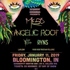 MeSo / Angelic Root / RYNS / WileyCoyote - Bloomington, IN 1/11/19