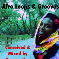Afro Loops & Grooves(1).wav