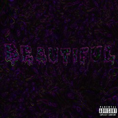 Beautiful (ft. Lil Roach & Po Bloc J.)