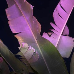 LilFiji - Twilight (feat. sammymeboi)