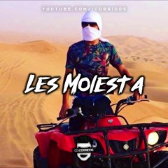 Los Primos De La Baja - Les Molesta (Corridos 2018)