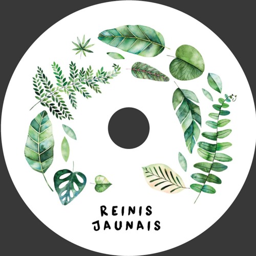 Reinis Jaunais - Laimai