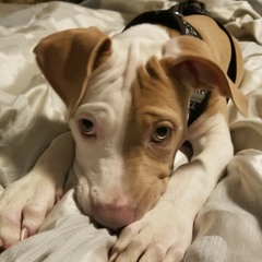 I never shall forget the day.mp3