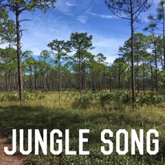 Jungle Song