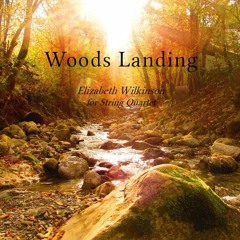 Woods Landing