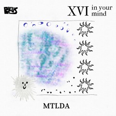 XVI - MTLDA