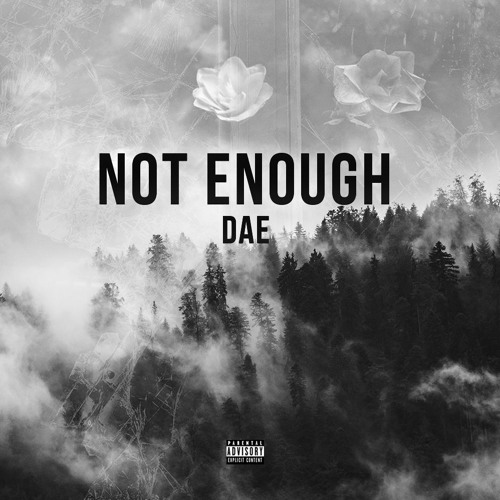 Not Enough (prod. Tsurreal)