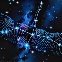 01.All The Bright Lights