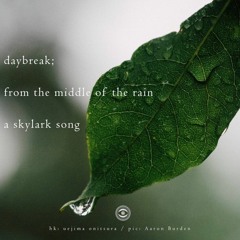 Daybreak; / from the middle of the rain / a skylark song (naviarhaiku257)