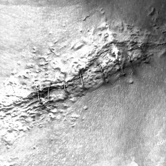 Neugeborene Nachtmusik - Turbulence