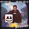 Marshmello X Roddy Ricch - Project Dreams (BeKnight Arcade Zomboy Style Remix)