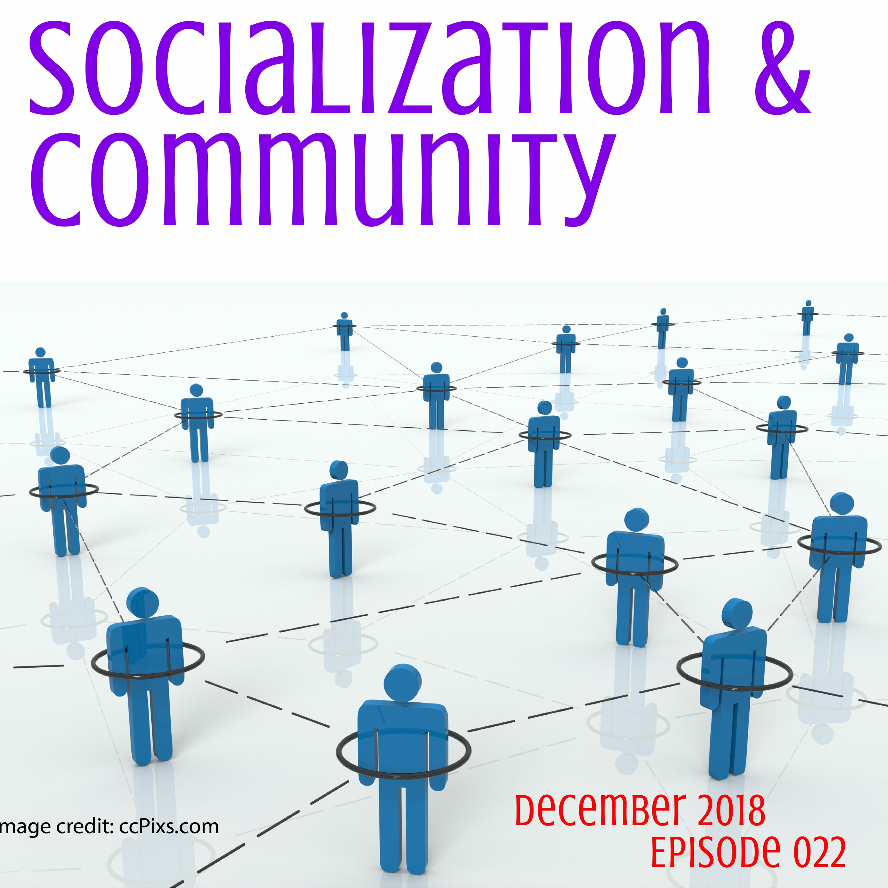 022 Socialization And Community