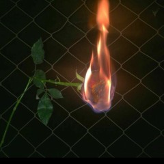 In Love (Slowed Snippet)[lost track]