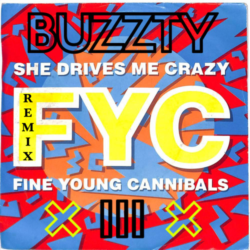 Stream Fine Young Cannibals - She Drives Me Crazy (BUZZTY Remix
