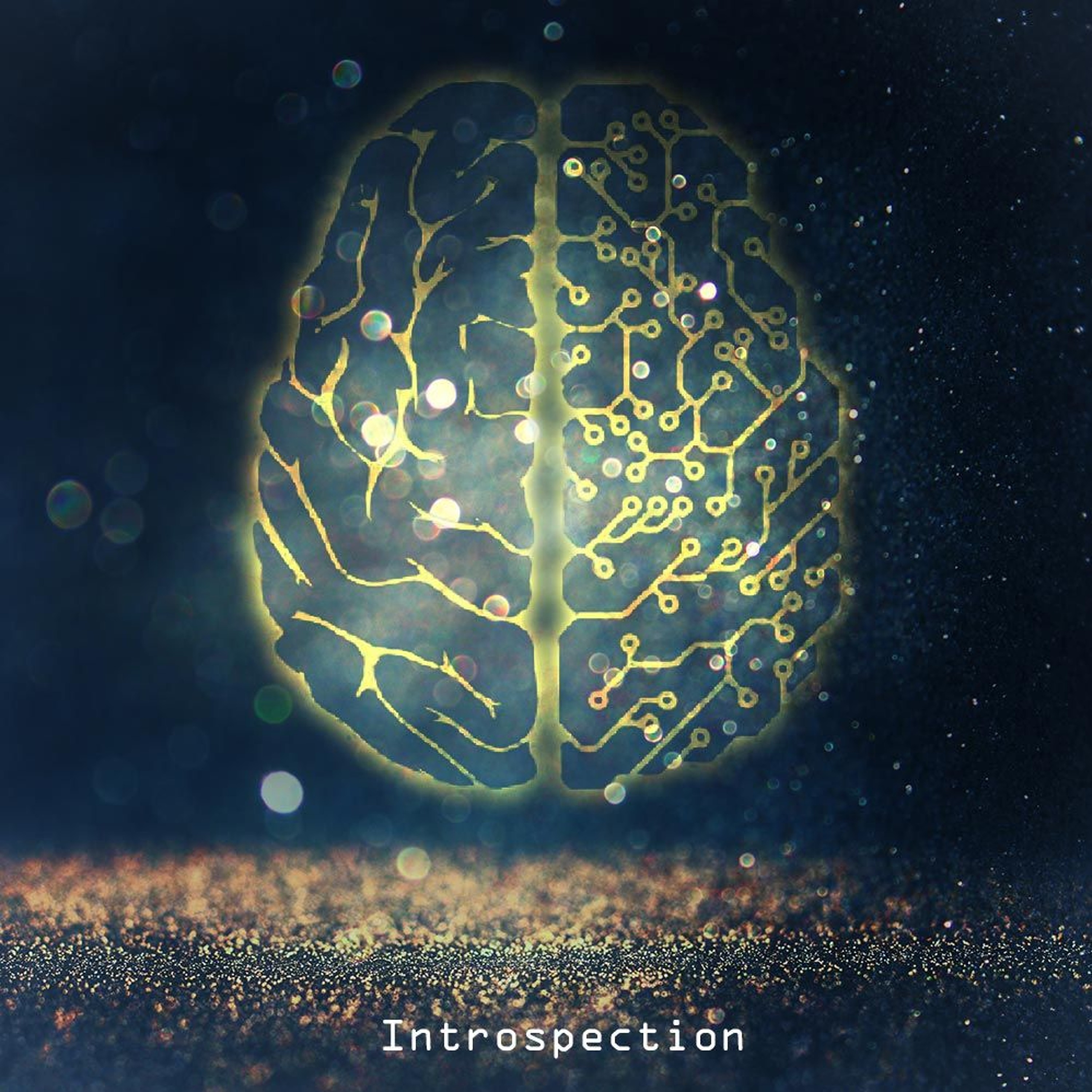 Introspection episode artwork