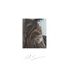 With You In The Morning (8D Audio)