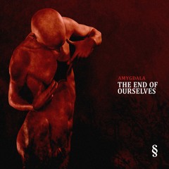 subsekt001 - Amygdala - The End of Ourselves