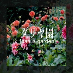 Dahlia Garden