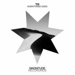 TD - Everything Goes (Francesco Pico Remix)