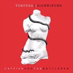 Catfish And The Bottlemen - Tortuga
