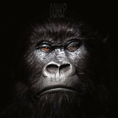 RYDAH ONE (Moko 4 Loko, Rachet ROD & Maestro)