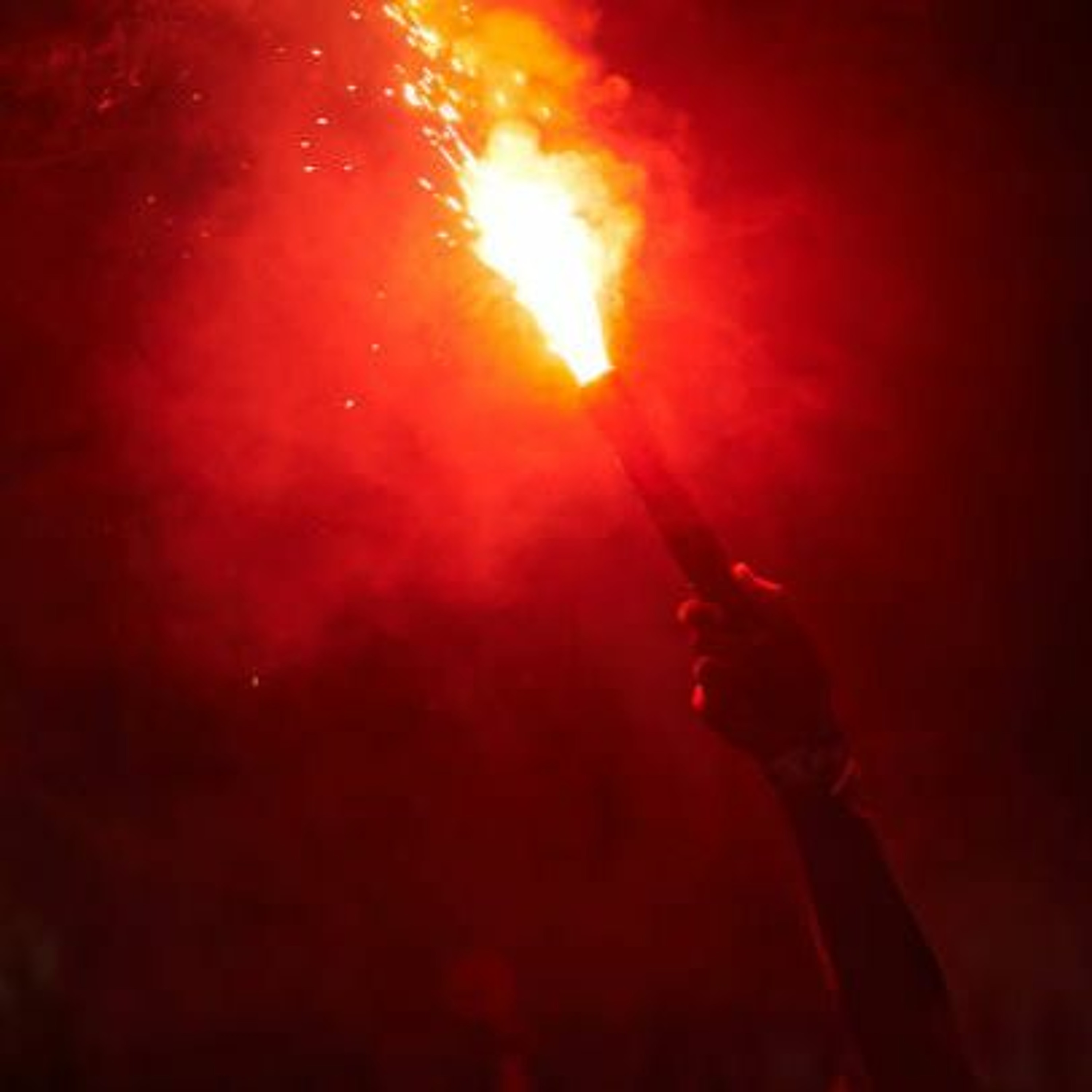 Le Redoutable
