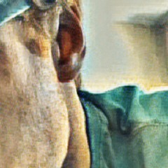project hmm what(3)-trimmed-normalized 1