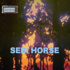 Sebi Horse
