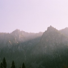 Deep Forest