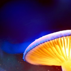 AAD 11.12.18 Teacher Knows Best