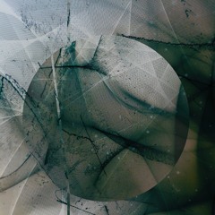 Erratic Entity || Log 005 - IO