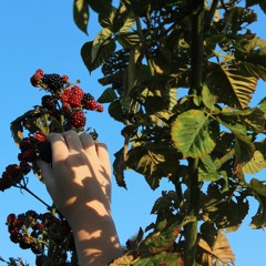 Who Are You? (November)